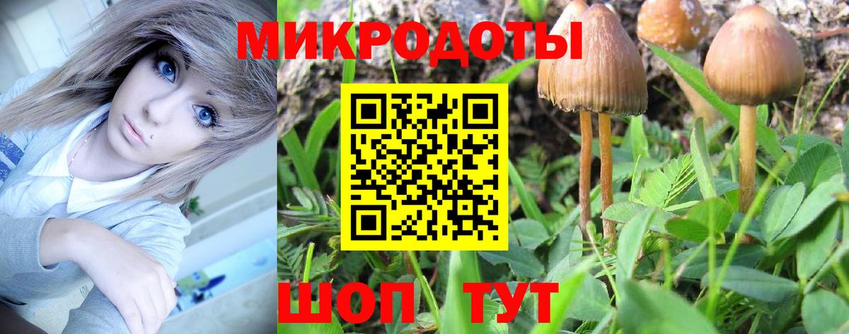 Галлюциногенные грибы GOLDEN TEACHER  дарнет шоп  Губкинский  Вход с VPN 